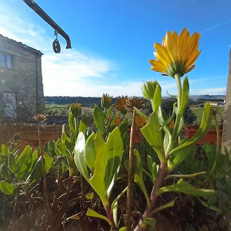 Casa rural Casa Pardal Coliving & Coworking